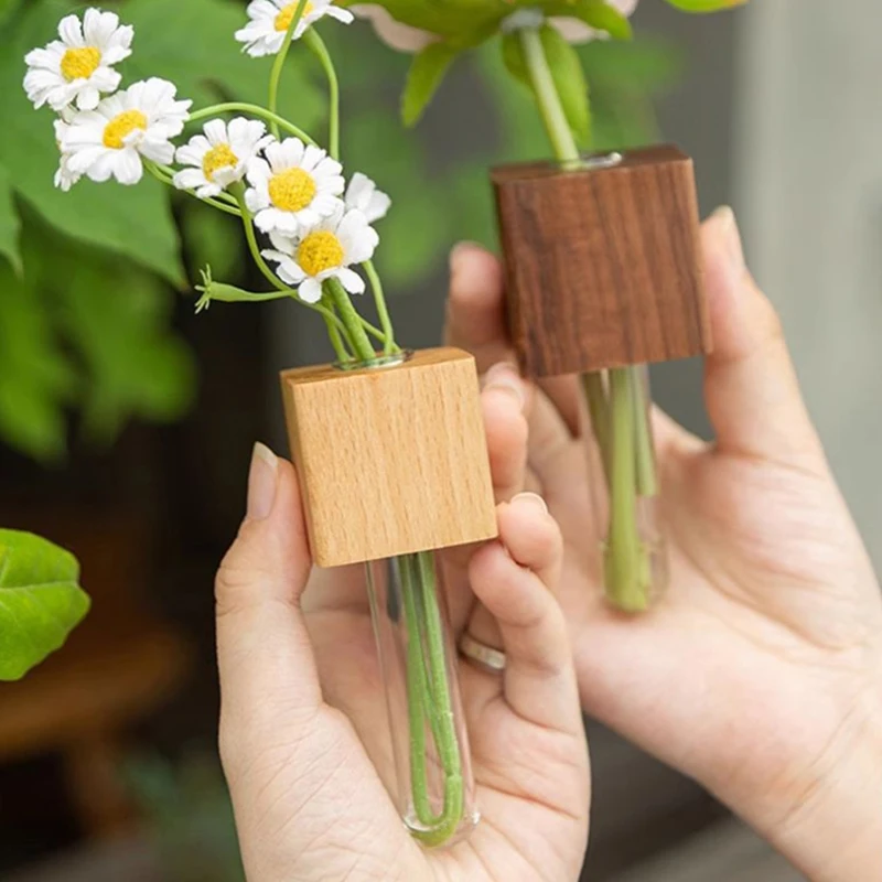 1pcs Wooden Magnetic Test Tube - огляд і ціна Kitchen Quiz